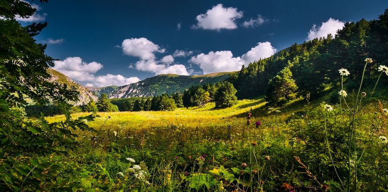 *** фото превью