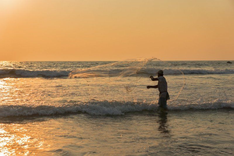 индия,море,рыбак Индийский рыбак фото превью