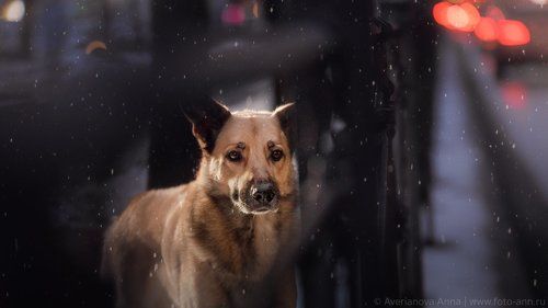 И праздник не в радость, когда ты один...