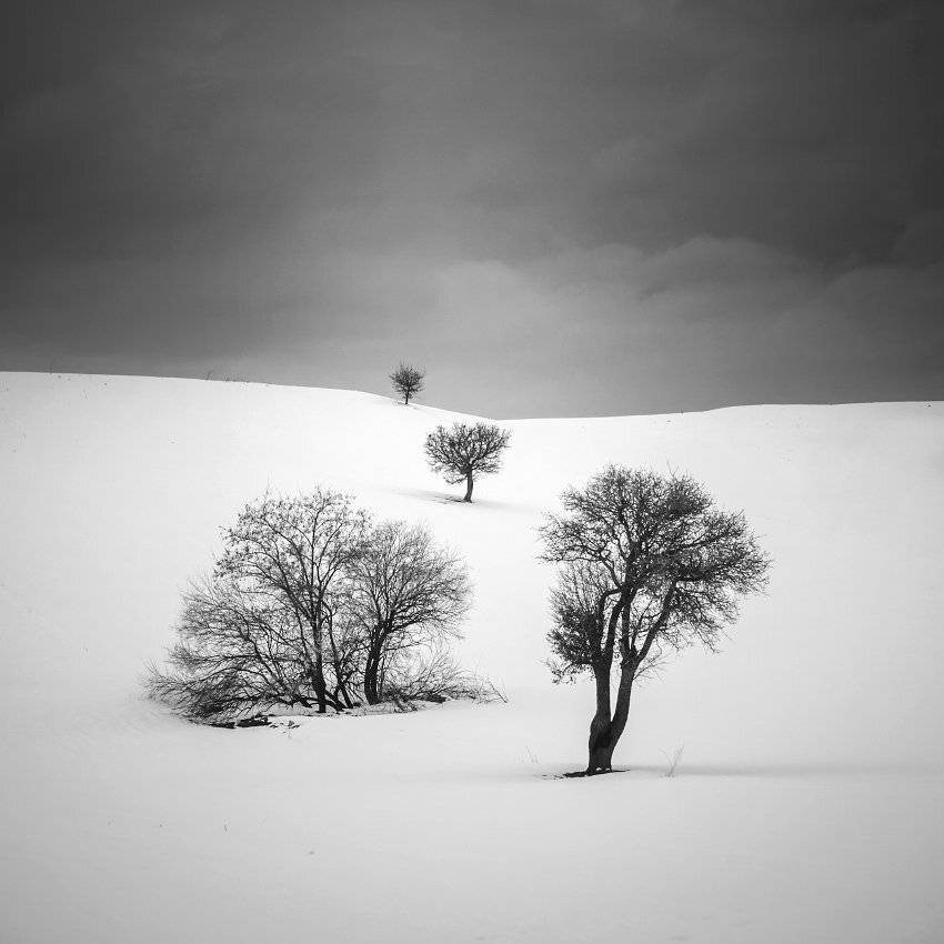 , Kani (kanipolat.com) Polat