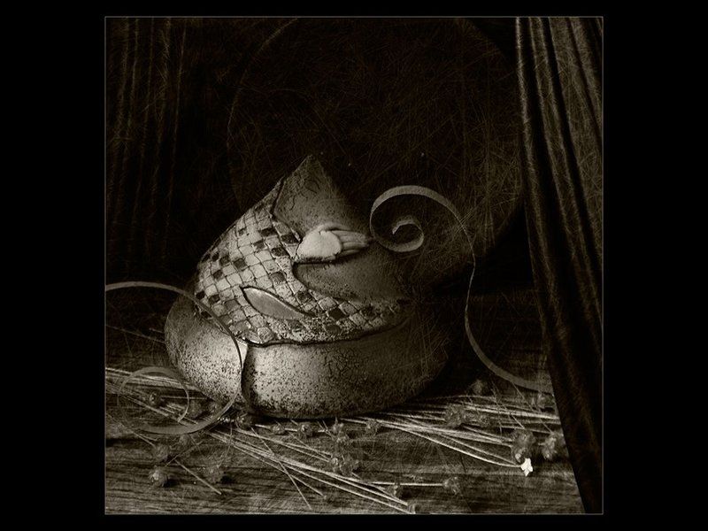 Гербарий фото превью