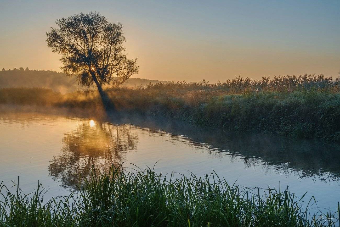 , Леонид Морозов