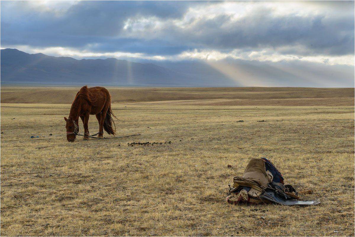 кутыгин, монголия, весна, май в монголии, степь, конь, лошадь, седло, лучи, пасмурно, Nikon, Кутыгин Эдуард