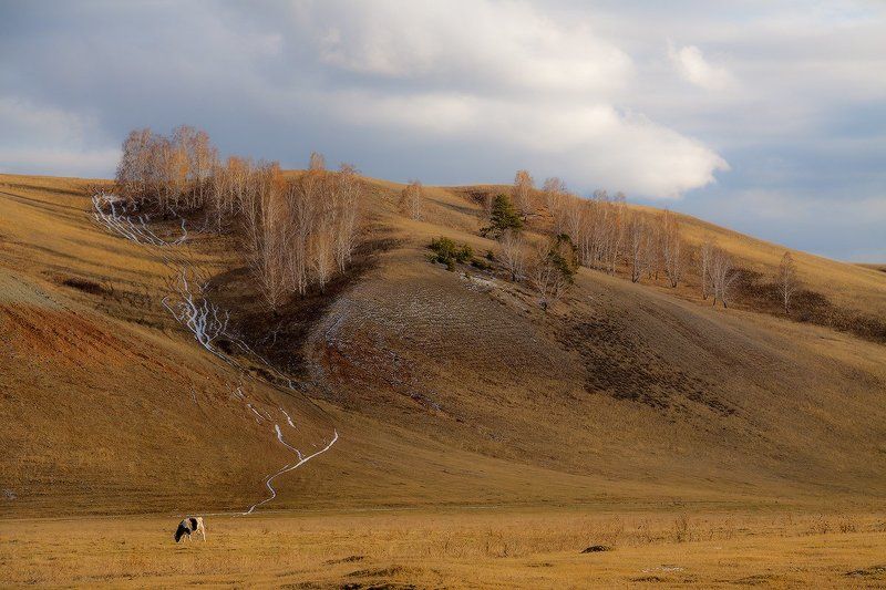 Осени ушедшие дни фото превью