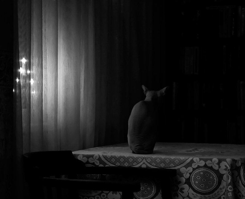 Первое января. Вечер... фото превью