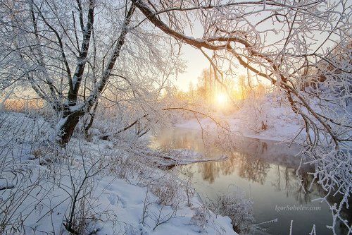 Мороз и солнце, день чудесный...