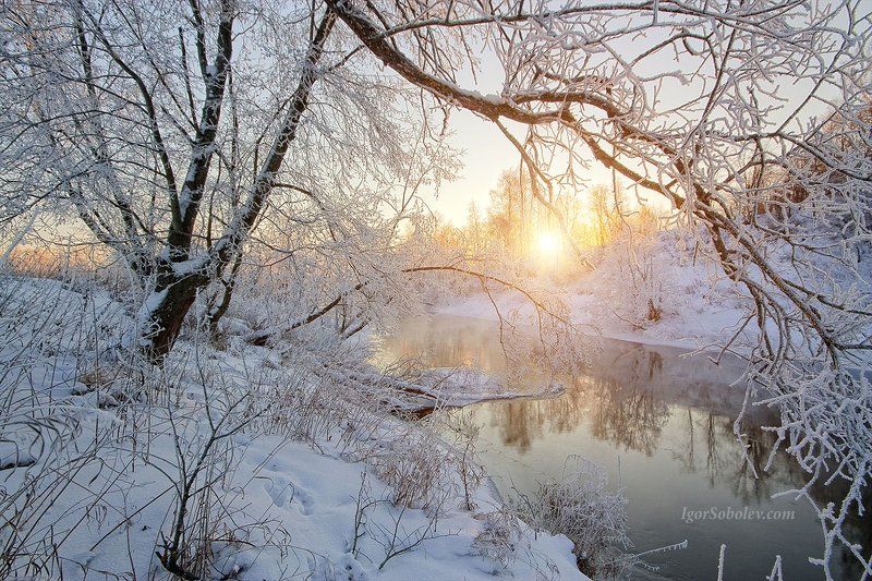 fog, frost, ice, istra, morning, moscow, moscow region, rays, river, russia, snow, sun, winter Мороз и солнце, день чудесный... фото превью