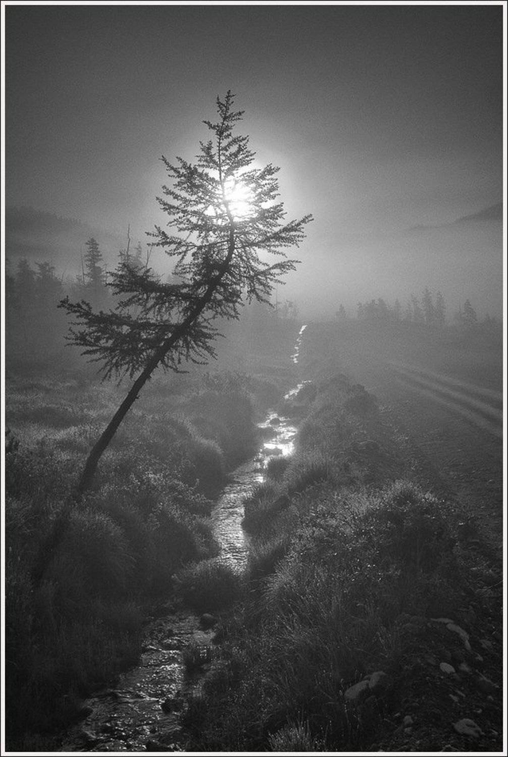 , Сергей Захаров.