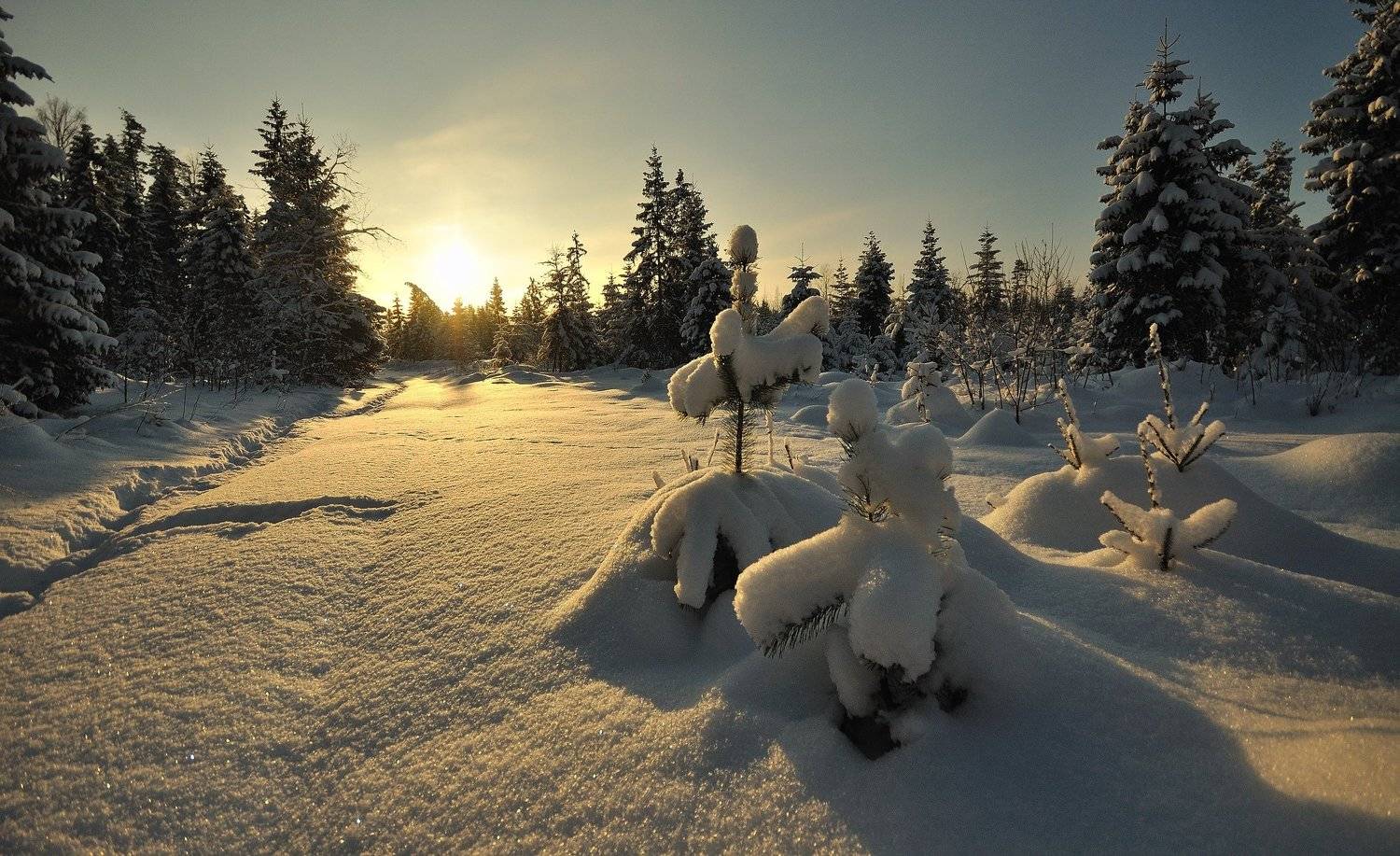 , Андрей Куликов