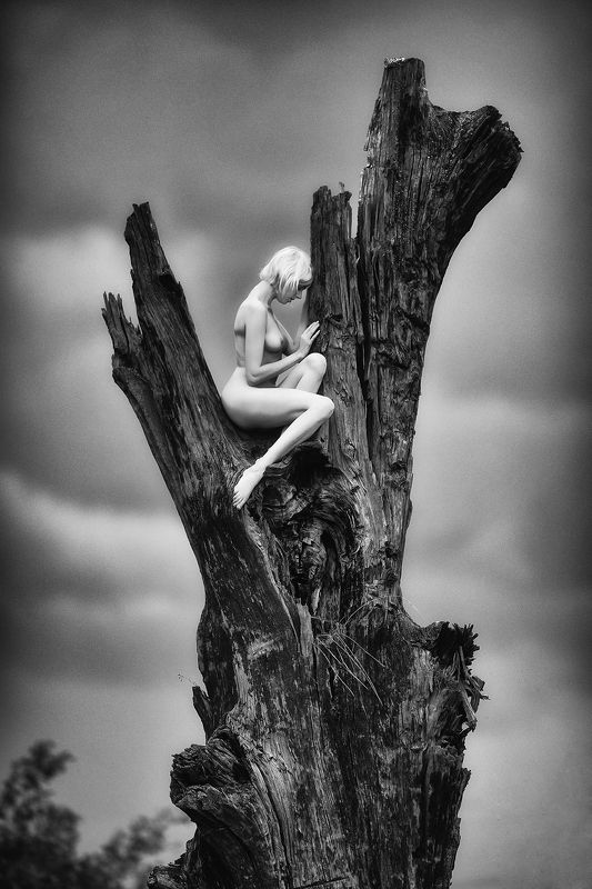 Erik goes walkabout. фото превью