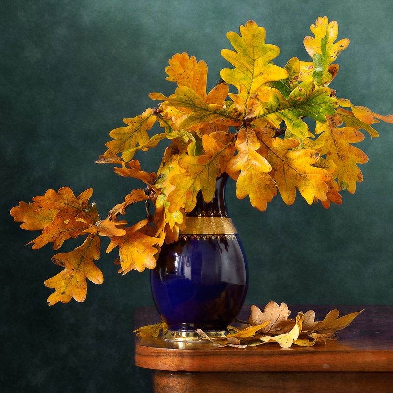 Классический, натюрморт, букет, дубовый, ветки, желтые, листья, темно-синий, ваза, осень, домашний, интерьер Дубовые листья фото превью