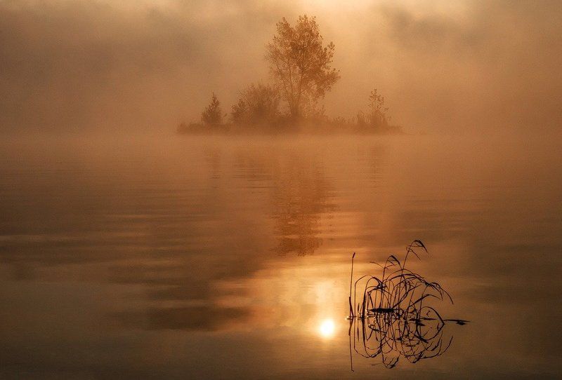 Осенние краски тумана. фото превью