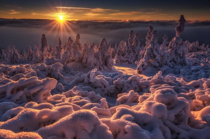 Freezy sunset