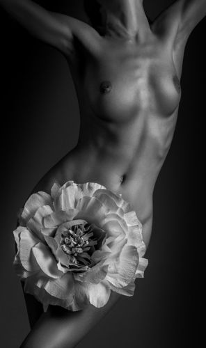 Blossom