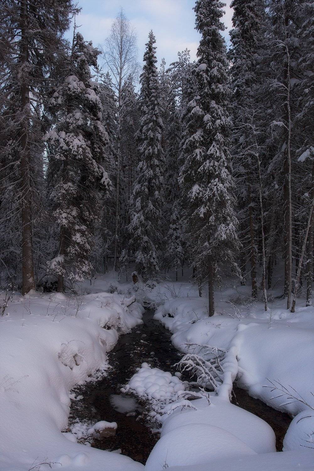 , Поташев Александр