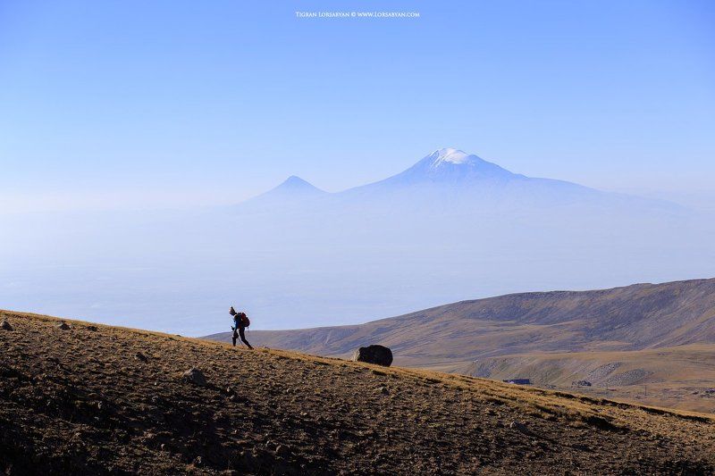 --- фото превью