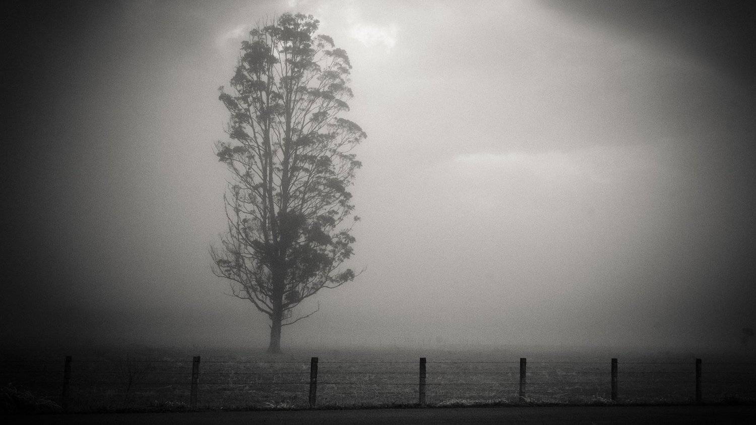 brasilia, francisco willian saldanha