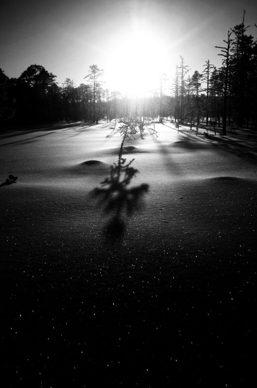 болотная новогодняя фото превью