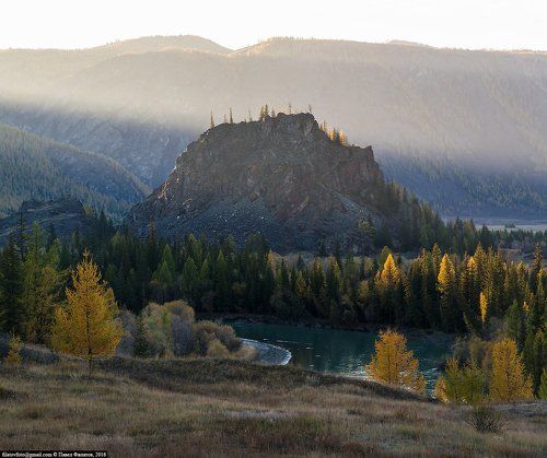 Чуйский свет