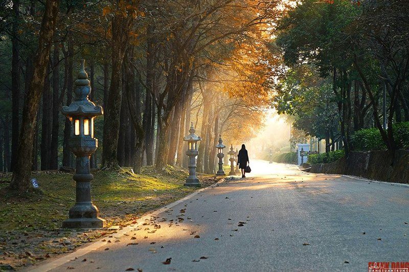 Dang Tuan Trung, Tuan Trung, Frank Dang The Winter фото превью