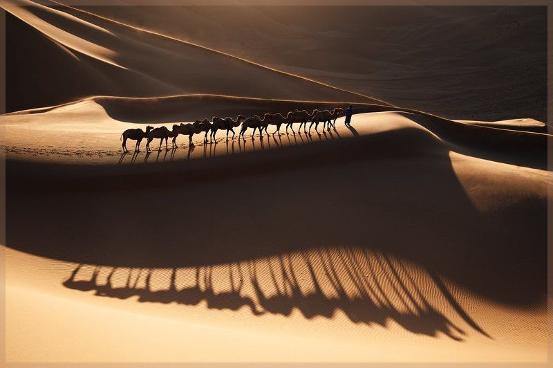 badain jaran  , china Shadow фото превью