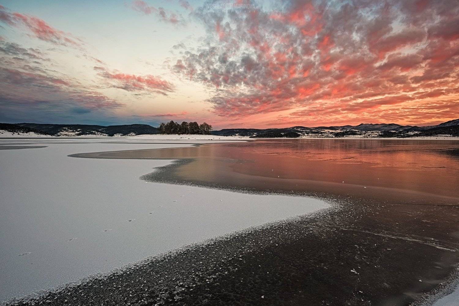 , Весела Маринова