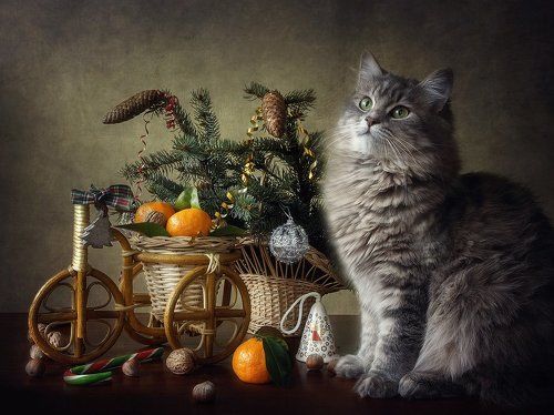 Мы едем в Новый Год!