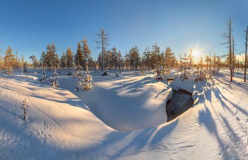 Болотный ручей зимой