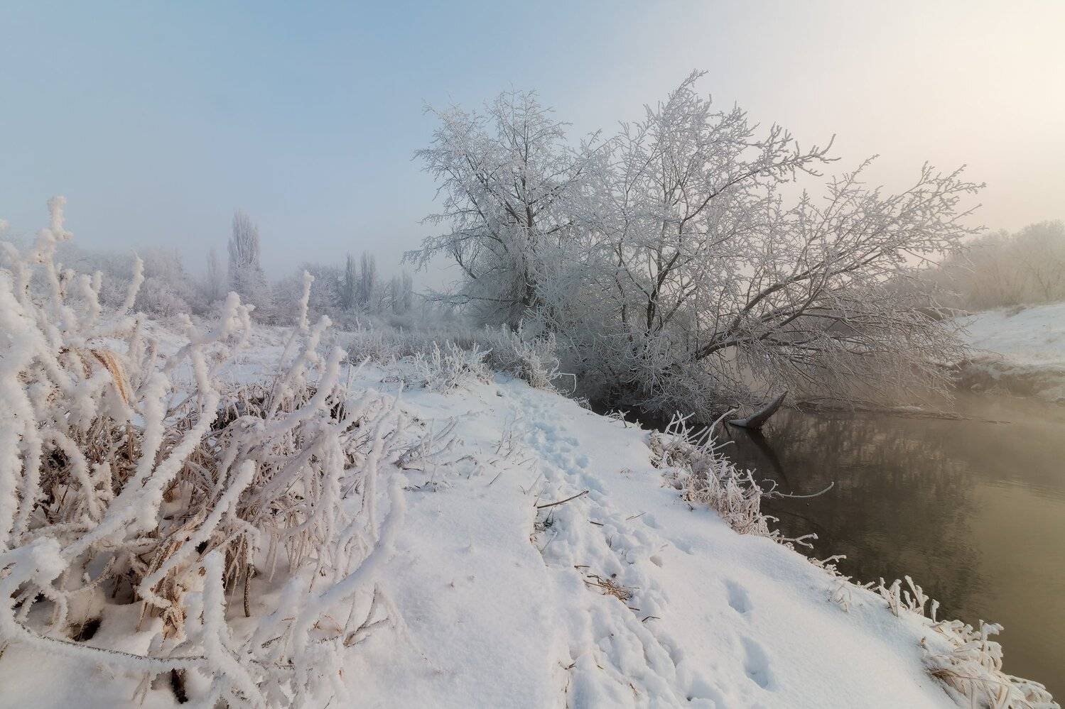 , Красимира Минева