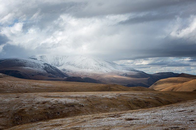 В урочище Баян-Чаган. фото превью