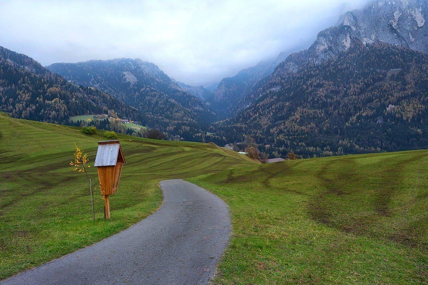 , Игорь Дубровский