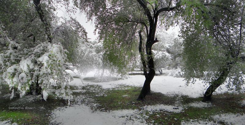 Бело-зелёное фото превью