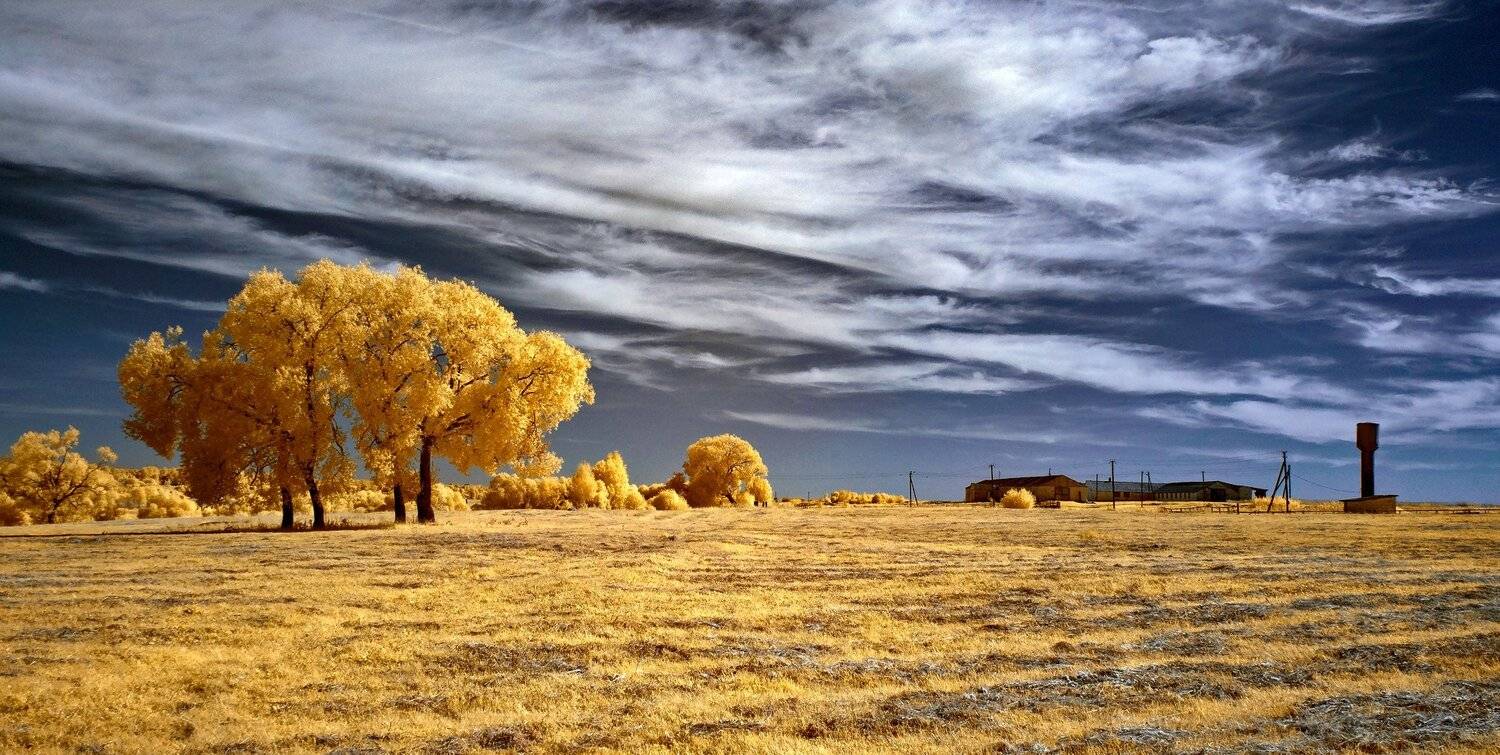 infrared,ик-фото,инфракрасное фото,инфракрасная фотография,пейзаж,природа,беларусь,лето, Sixten ( Сергей )