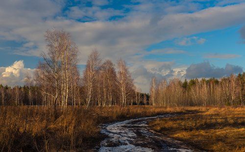 Апрель в январе