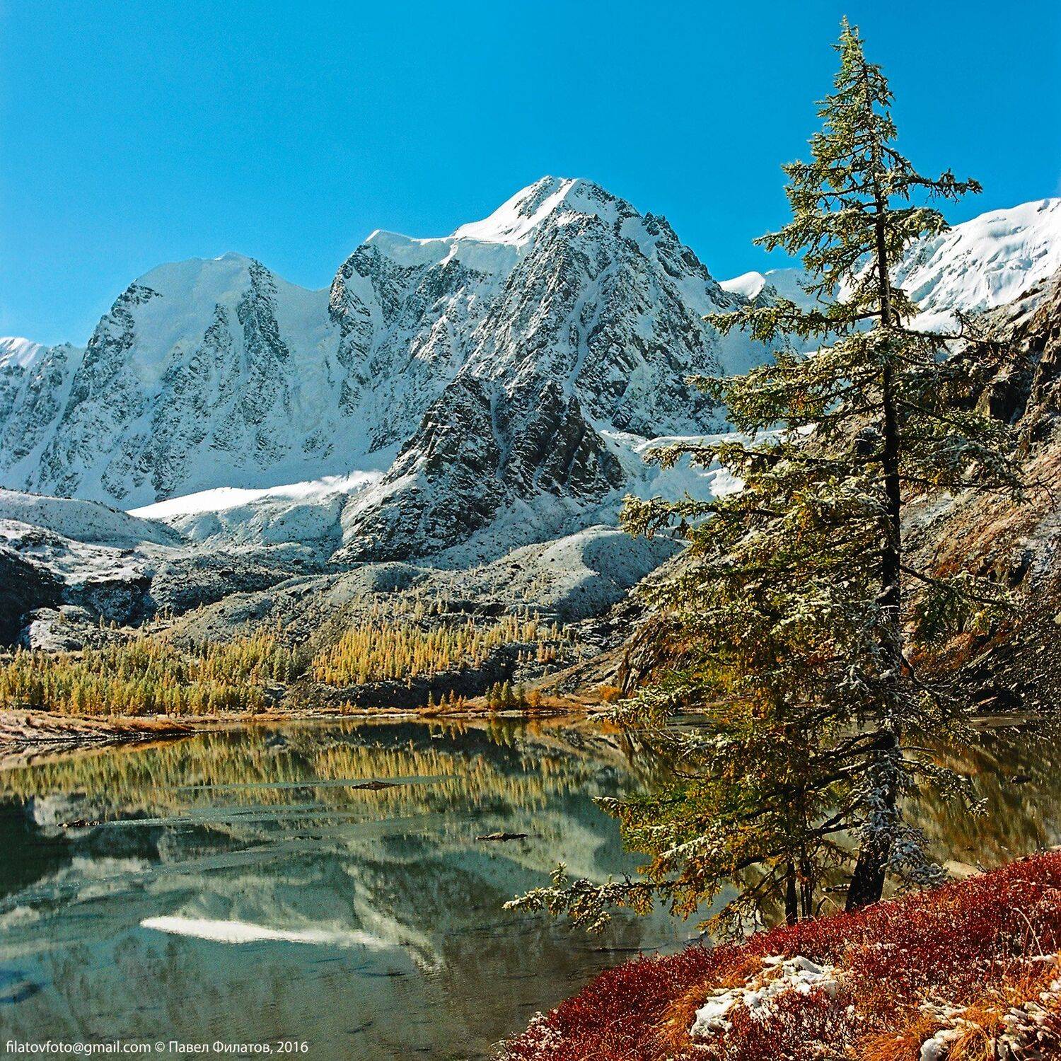 алтай, altai, сибирь, siberia, pavel filatov, павел филатов, снег, горы, осень, верхнее шавлинское озеро, северо-чуйский хребет,, Павел Филатов