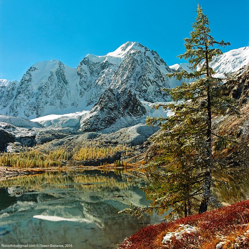 Верхнее Шавлинское фото превью