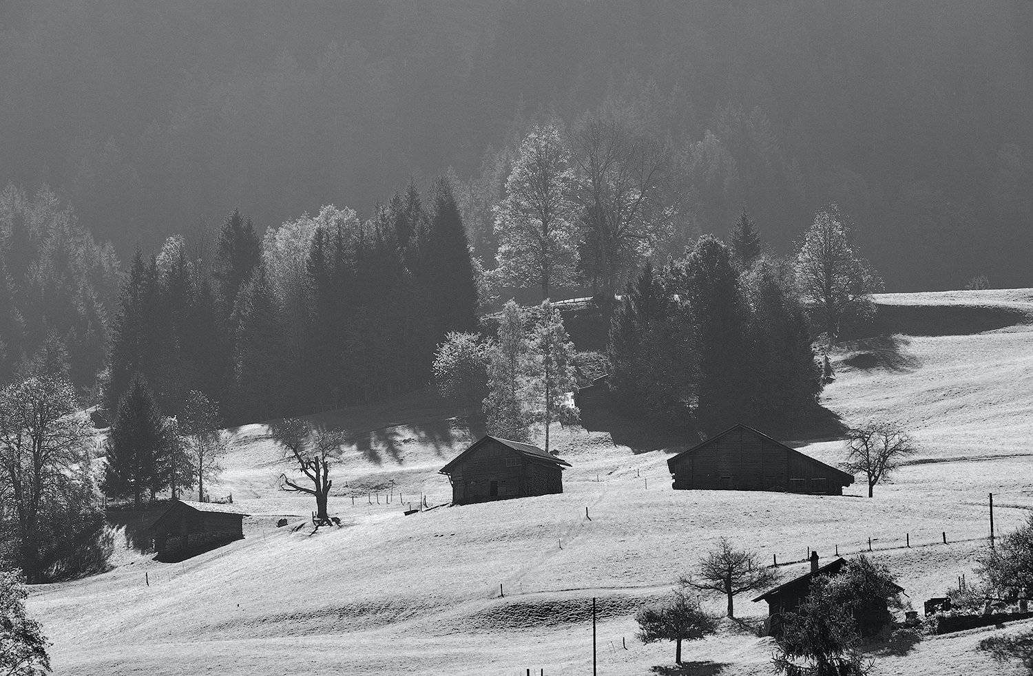 grindelwald., Aivars