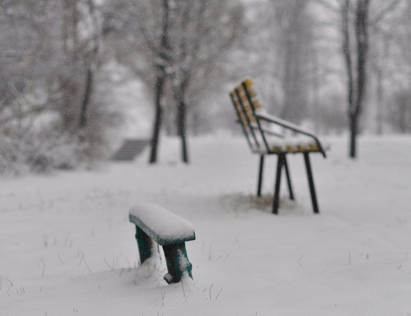 Зима, Снег, Туман Философия зимы... фото превью