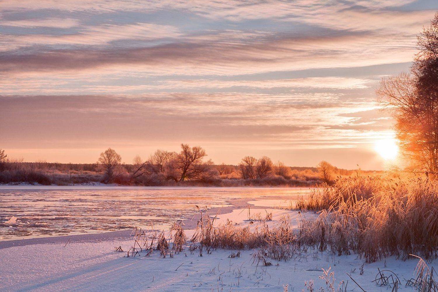 , Барабанов Алексей