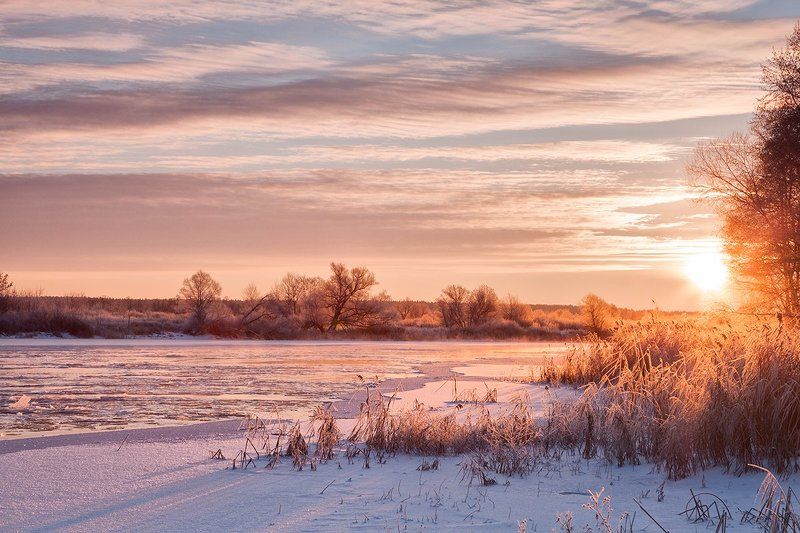 Морозный день фото превью