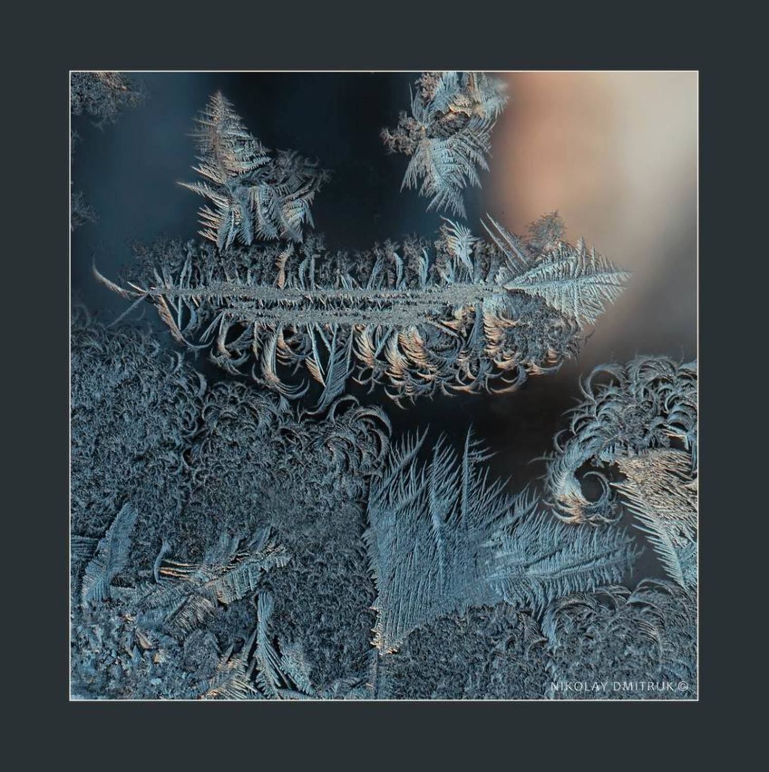 природа, минимализм, мороз, музыка, николай дмитрук