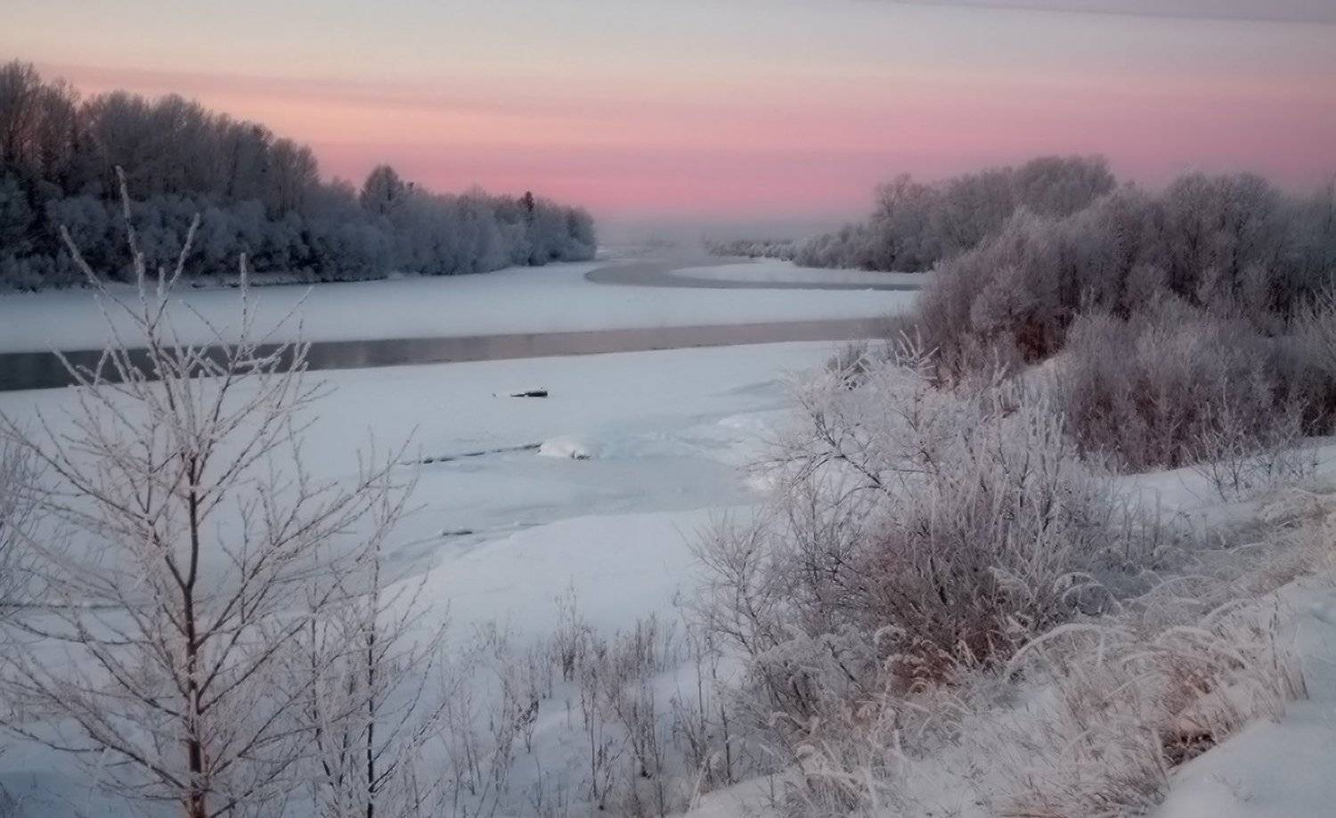 , Николай Морский