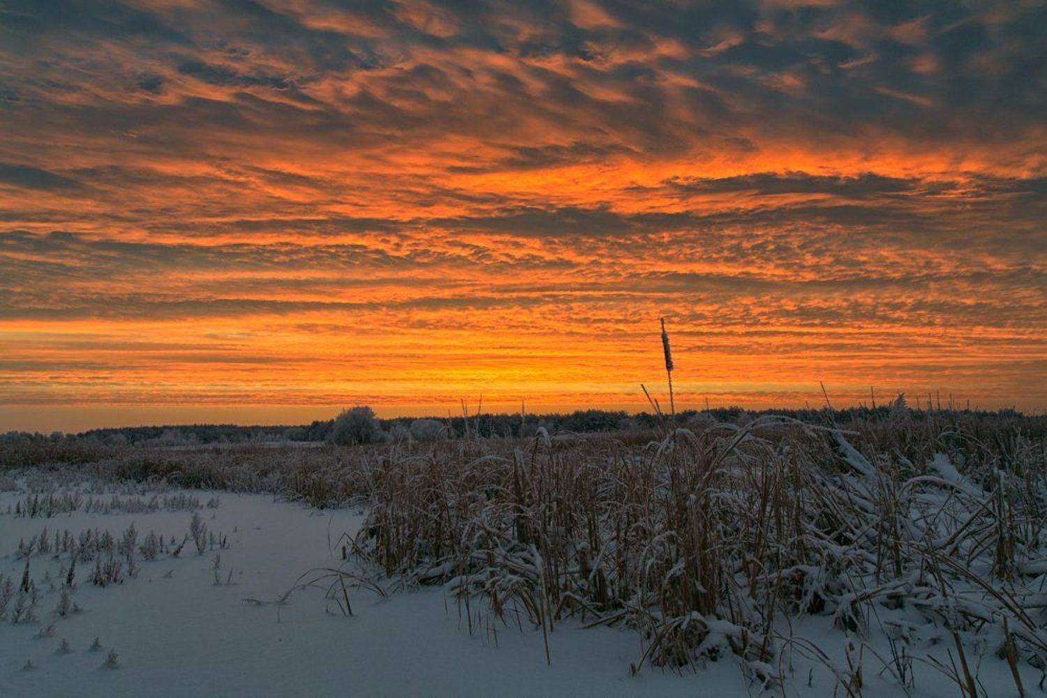 , Александр Войтенко