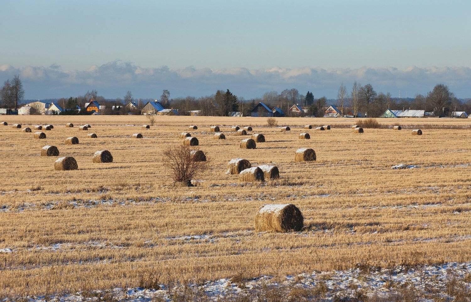 , Юрий Кулаков