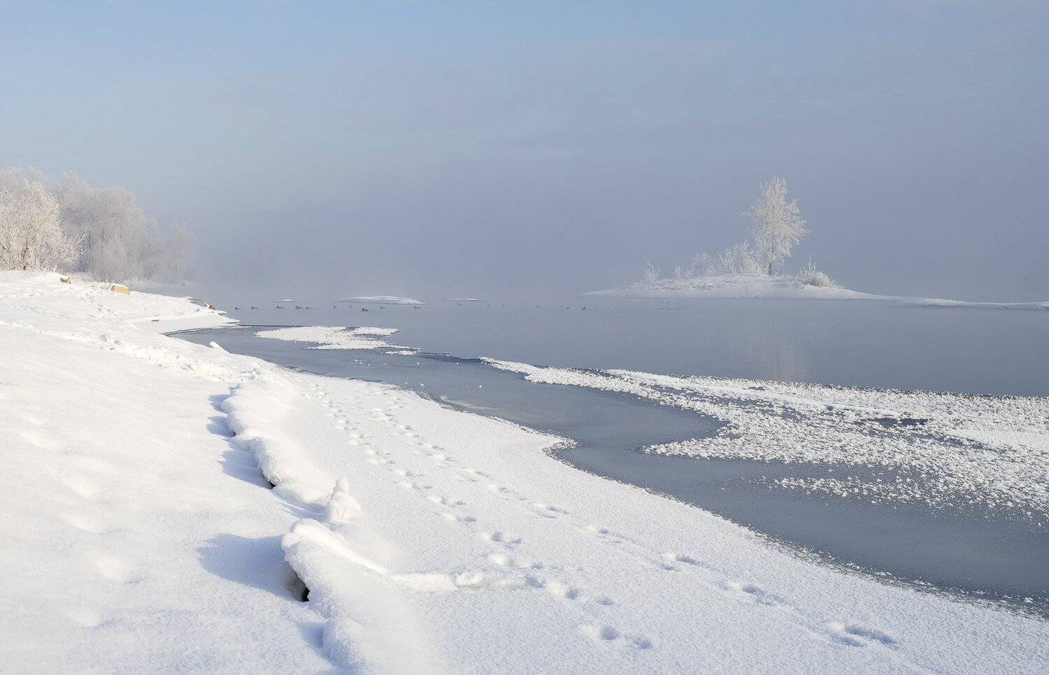 , Лещёнок Александр