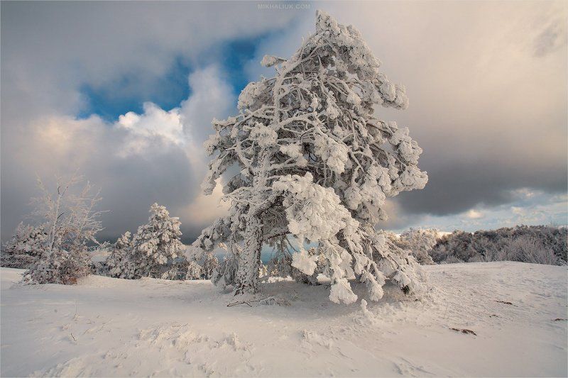 Happy New Year 2017 фото превью