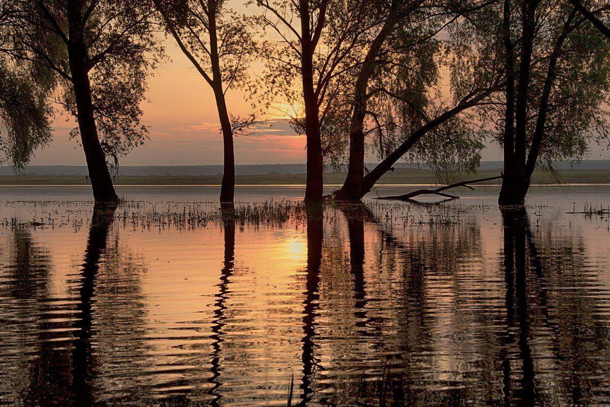 , Валерий Кондратов