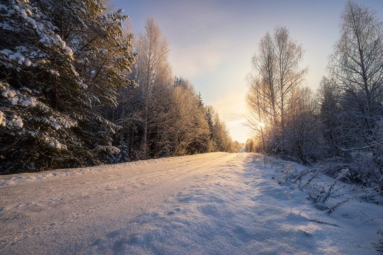 , Устюжанин Михаил