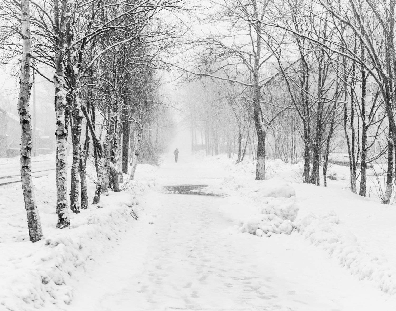 , Виталий Курин