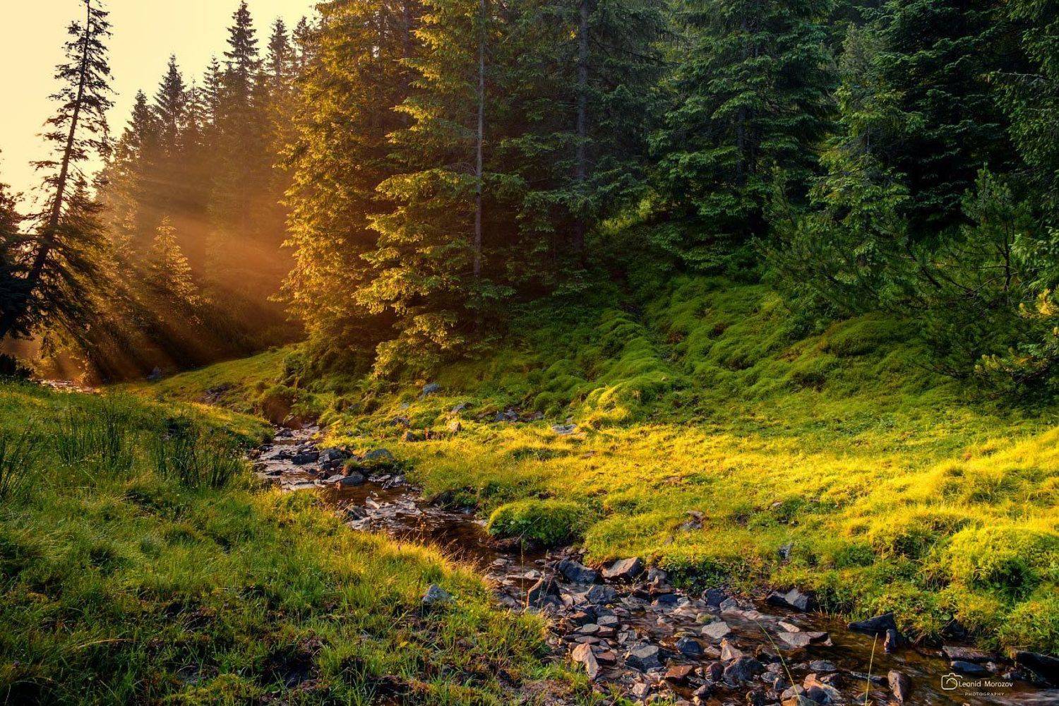 , Леонид Морозов